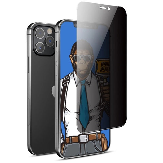 Zaštitna folija za ekran Privacy Blueo za Apple iPhone 13 Pro Max, Kaljeno staklo, Full Glue, 5D