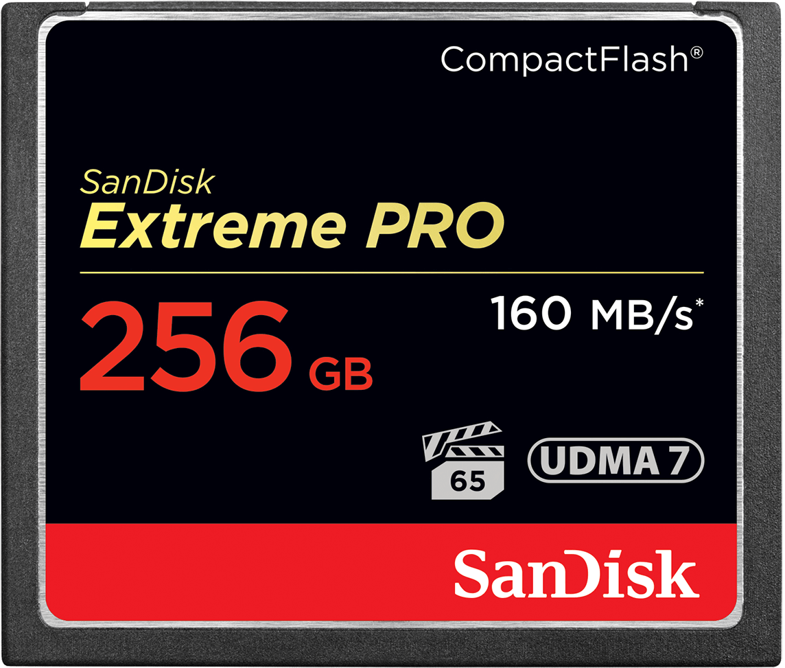 Memorijska kartica CompactFlash SanDisk Extreme Pro, 256Gb, UDMA 7 SDCFXPS-256G-X46