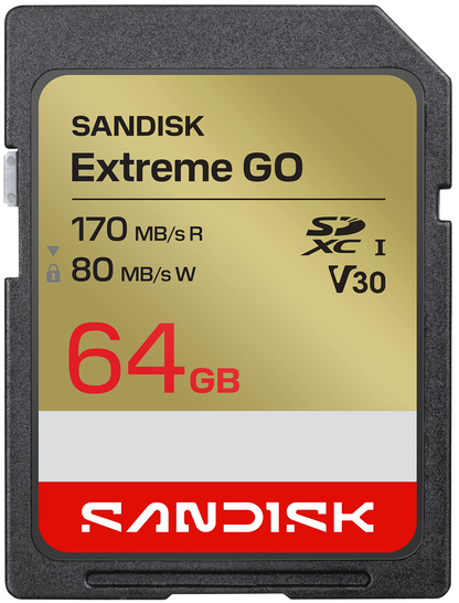 SDXC memorijska kartica SanDisk Extreme Go, 64Gb, Klasa 10 / UHS-1 U1 SDSDXGN-064G-GNCIN