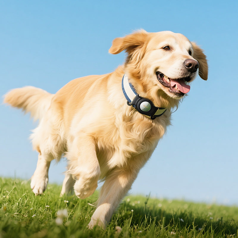 HOCO SmartTag E91C za iOS seriju, Bijela