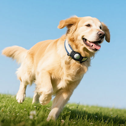 HOCO SmartTag E91C za iOS seriju, Bijela