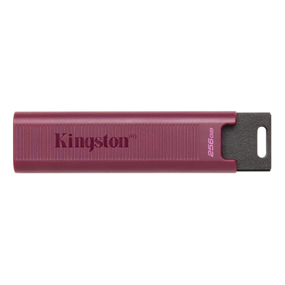Vanjska memorija USB-A 3.2 Kingston DT Max, 256Gb DTMAXA/256GB