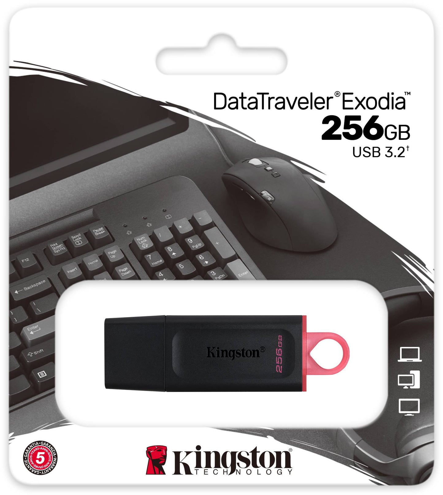 Vanjska memorija USB-A 3.2 Kingston DT Exodia, 256Gb DTX/256GB