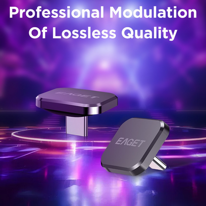 Vanjska memorija USB-C Eaget U8C, 32Gb