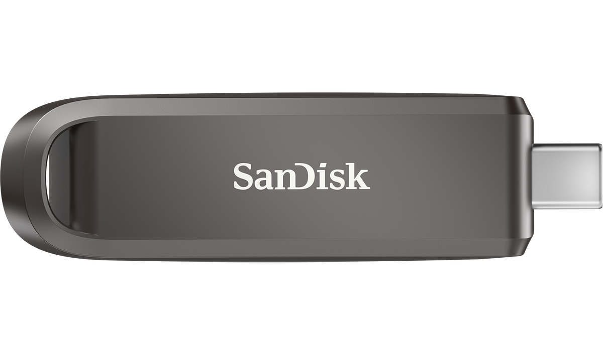 Vanjska memorija USB-C SanDisk Extreme Pro, 256Gb SDCZ890-256G-G46