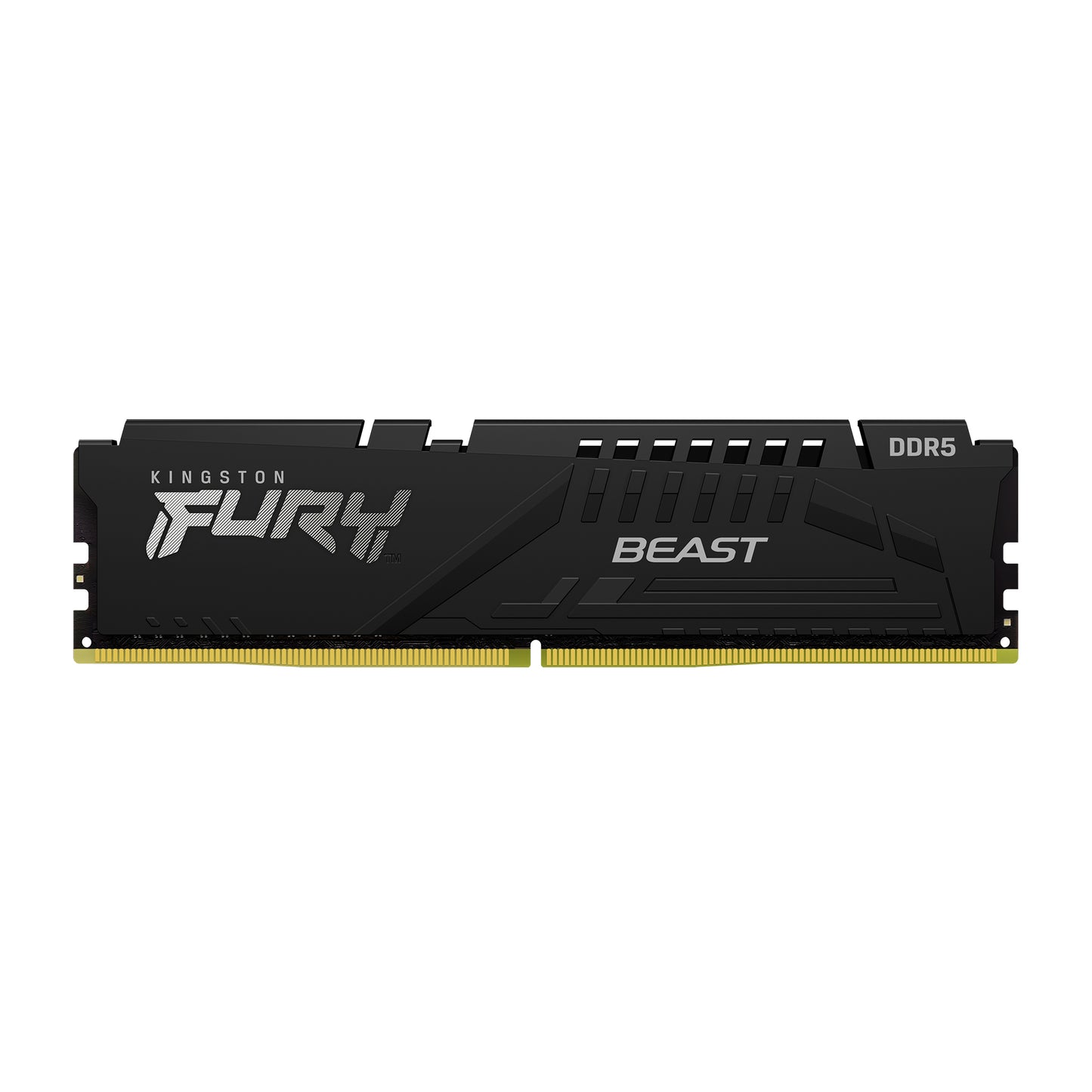 Memorija RAM Kingston Fury Beast, DDR5, 8GB, 5600Mhz KF556C40BB-8