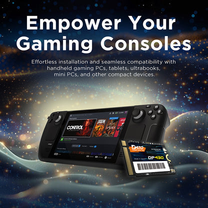 Solid State Drive (SSD) Dato DP430, NVME M.2 2230, PCIE Gen4x4, 1TB, Crni DP430SSD-1TB