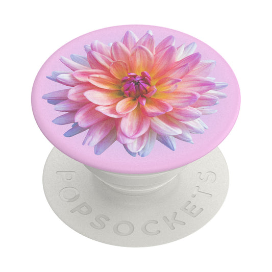 Podrška PopGrip Popsockets Dahlia Icon, Višebojna