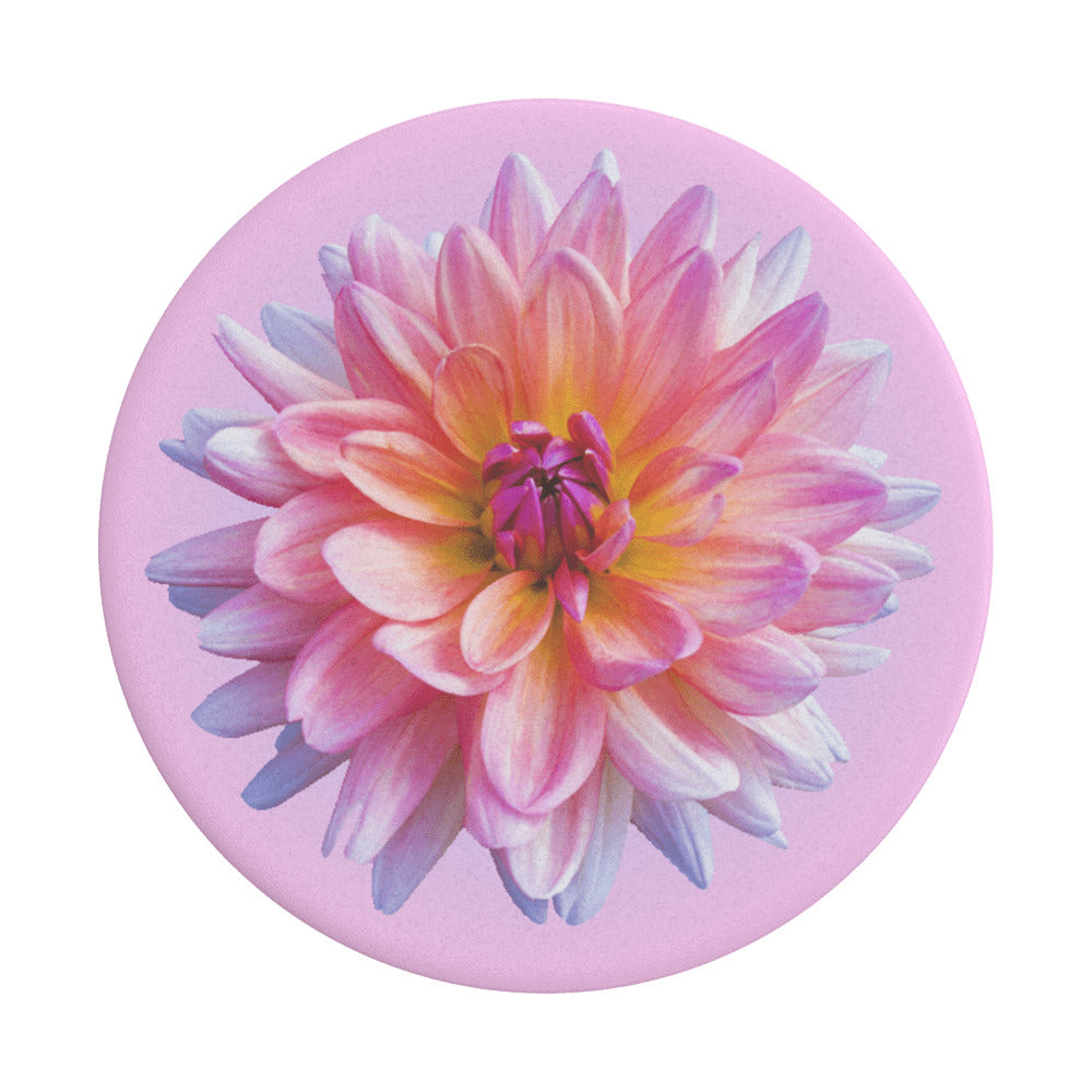 Podrška PopGrip Popsockets Dahlia Icon, Višebojna