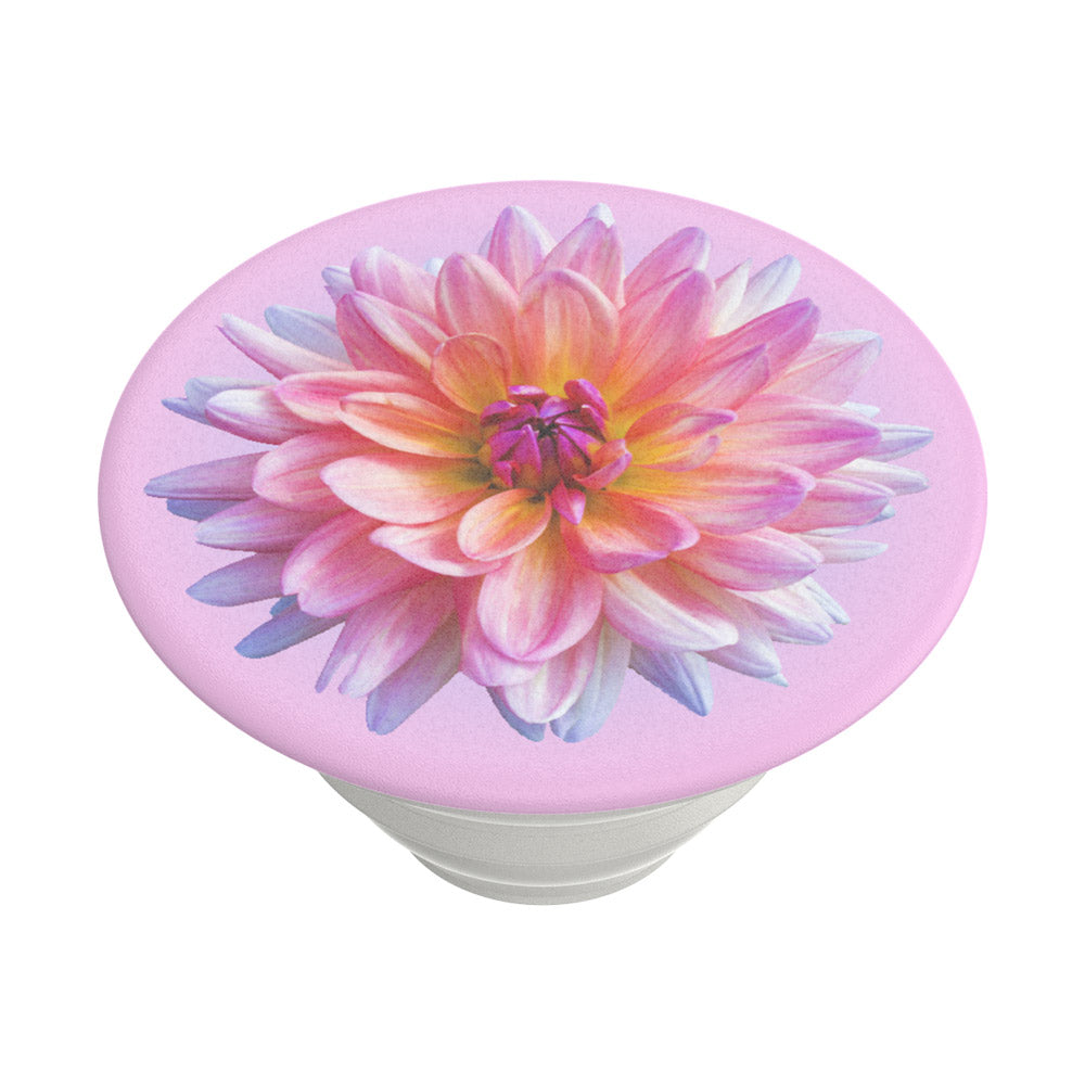 Podrška PopGrip Popsockets Dahlia Icon, Višebojna